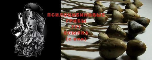 герыч Новозыбков