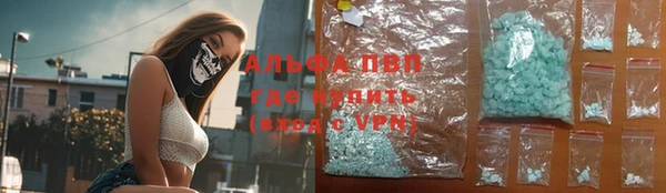 гидра Новодвинск