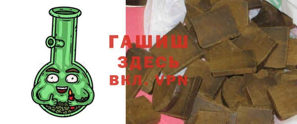 гидра Новодвинск