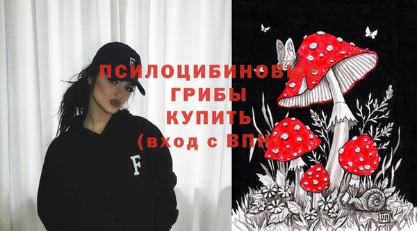 PSILOCYBIN Абинск