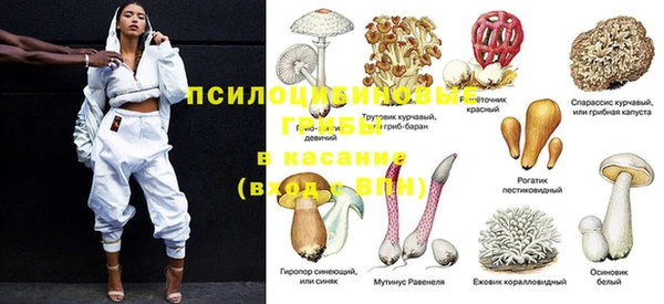 не бодяженный Новокубанск