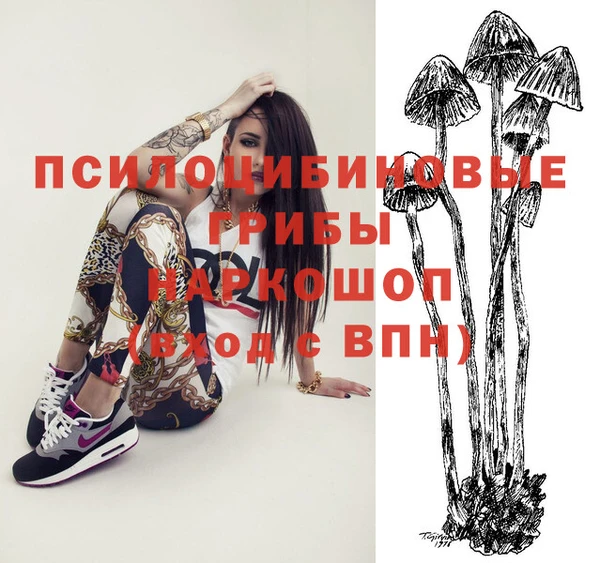 PSILOCYBIN Абинск