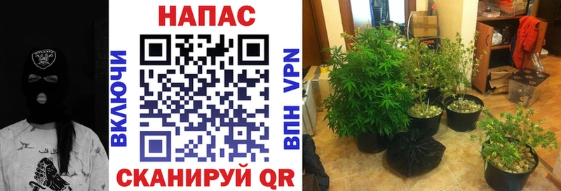 Шишки марихуана тримм  МЕГА онион  Галич 